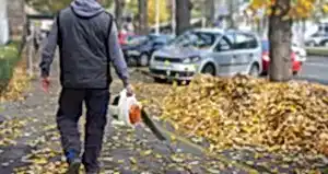 Taş ve Düzenleme