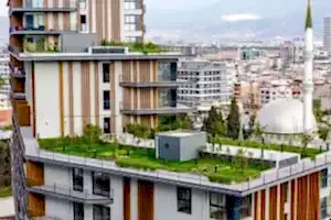 Taş ve Düzenleme