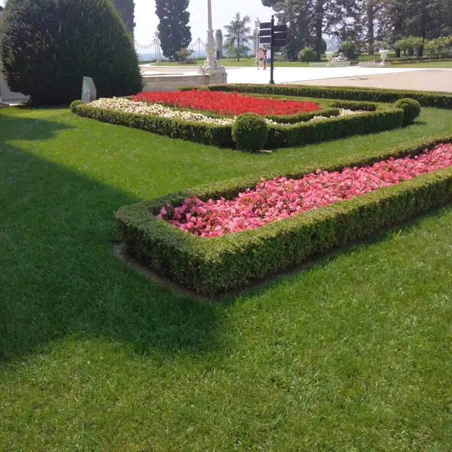 Bakı Rulo Çim