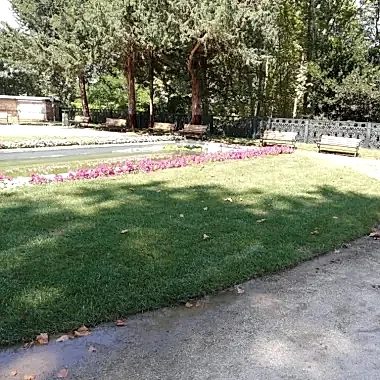 5fd67ba0c21e8.jpg